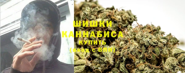 ПСИЛОЦИБИНОВЫЕ ГРИБЫ Снежногорск