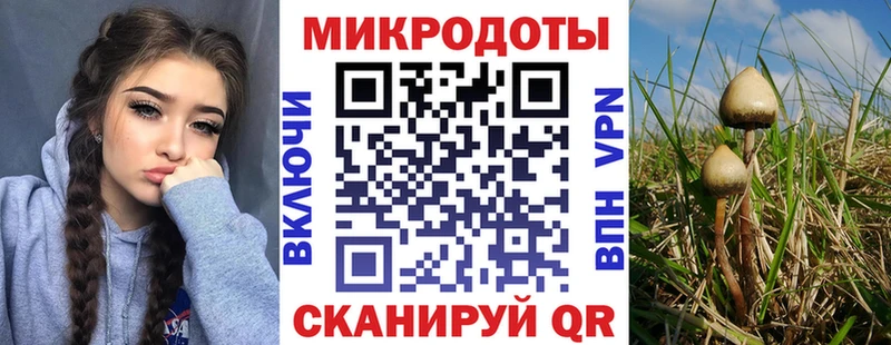 Псилоцибиновые грибы мухоморы  Шагонар 